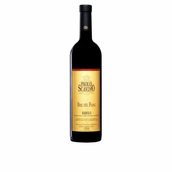 Alkolmarket.com Paolo Scavino Barolo Monviglieri DOCG 2009 MAGNUM